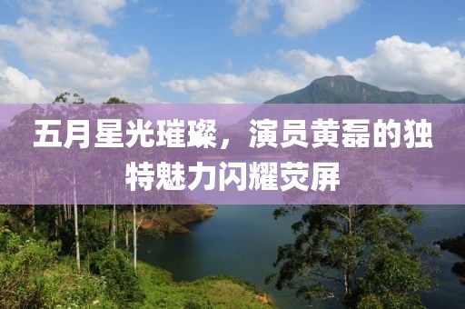 五月星光璀璨，演员黄磊的独特魅力闪耀荧屏