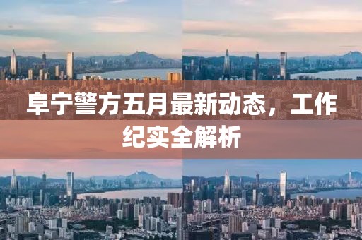 阜宁警方五月最新动态，工作纪实全解析