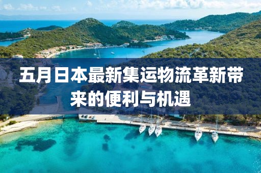 五月日本最新集运物流革新带来的便利与机遇