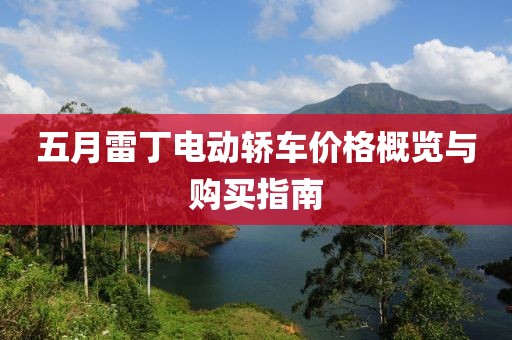 五月雷丁电动轿车价格概览与购买指南
