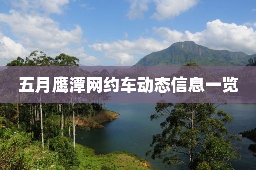 五月鹰潭网约车动态信息一览