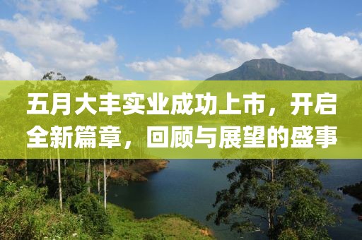 五月大丰实业成功上市，开启全新篇章，回顾与展望的盛事