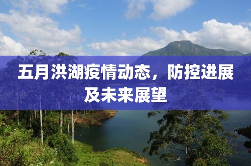 五月洪湖疫情动态，防控进展及未来展望