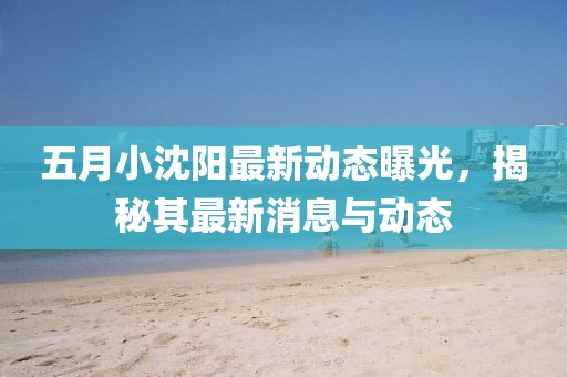 五月小沈阳最新动态曝光，揭秘其最新消息与动态