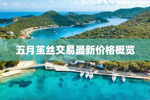 五月茧丝交易最新价格概览