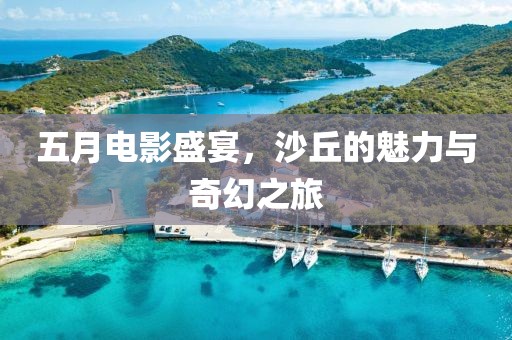 五月电影盛宴，沙丘的魅力与奇幻之旅