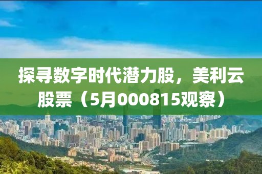 探寻数字时代潜力股，美利云股票（5月000815观察）