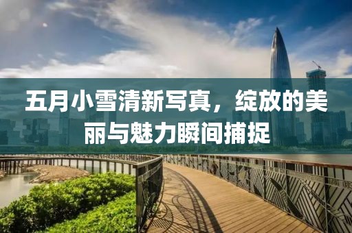五月小雪清新写真，绽放的美丽与魅力瞬间捕捉