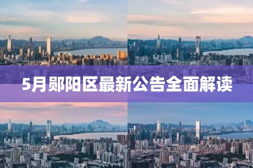 5月郧阳区最新公告全面解读