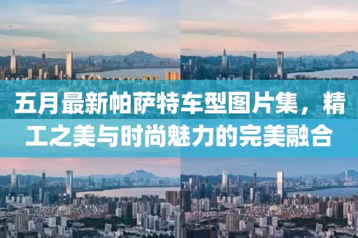 五月最新帕萨特车型图片集，精工之美与时尚魅力的完美融合