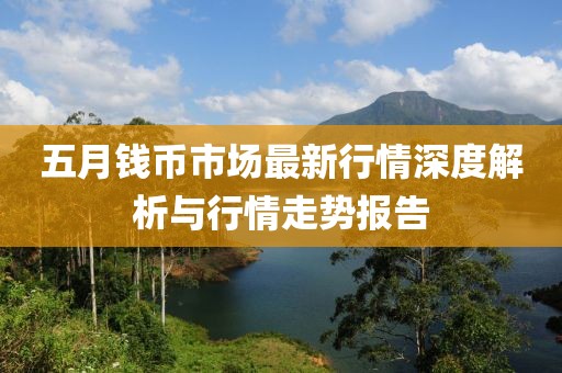 五月钱币市场最新行情深度解析与行情走势报告