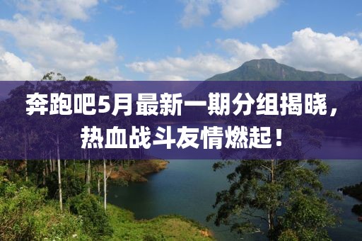 奔跑吧5月最新一期分组揭晓，热血战斗友情燃起！