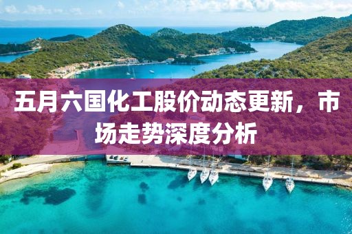 五月六国化工股价动态更新，市场走势深度分析