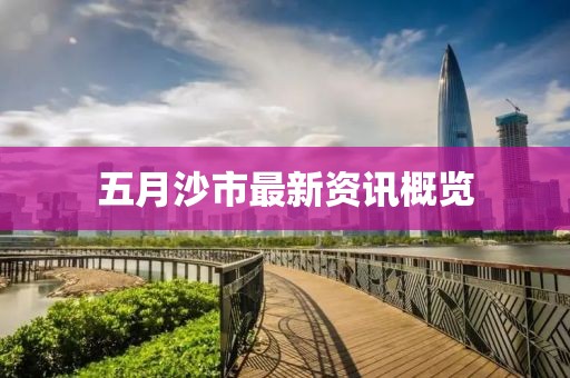 五月沙市最新资讯概览