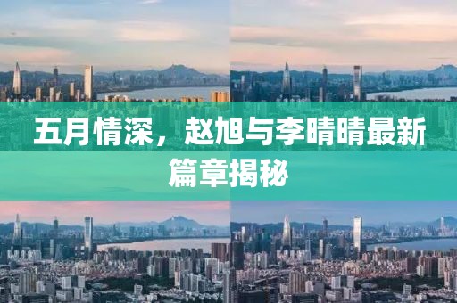 业务范围 第4页