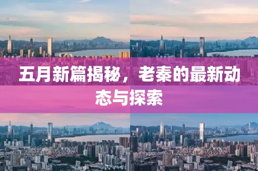 五月新篇揭秘，老秦的最新动态与探索