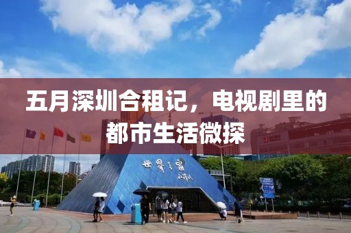 五月深圳合租记，电视剧里的都市生活微探
