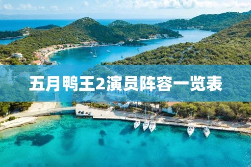 五月鸭王2演员阵容一览表