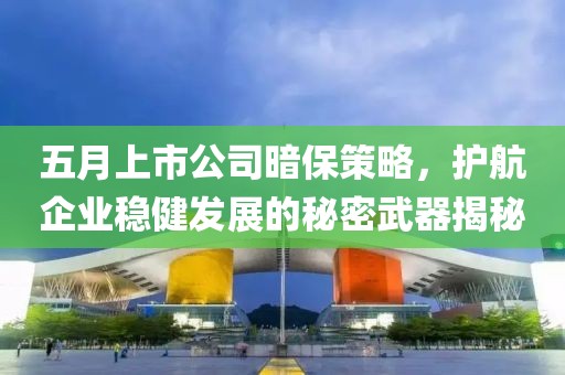 五月上市公司暗保策略，护航企业稳健发展的秘密武器揭秘