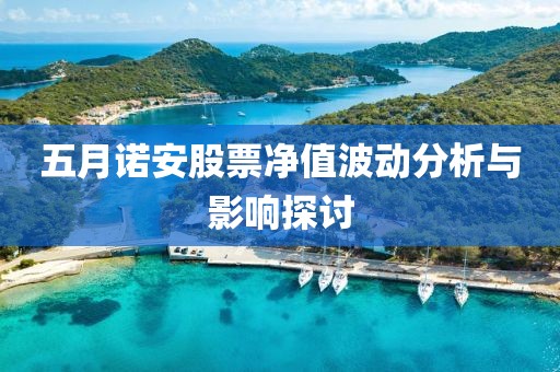 五月诺安股票净值波动分析与影响探讨