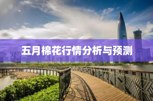 五月棉花行情分析与预测