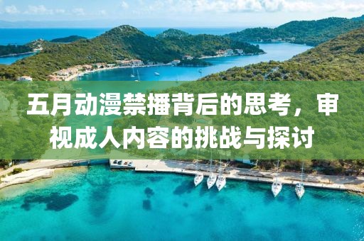 五月动漫禁播背后的思考，审视成人内容的挑战与探讨