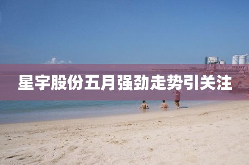 星宇股份五月强劲走势引关注