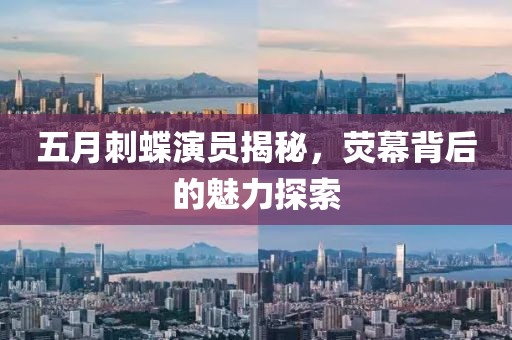 五月刺蝶演员揭秘，荧幕背后的魅力探索
