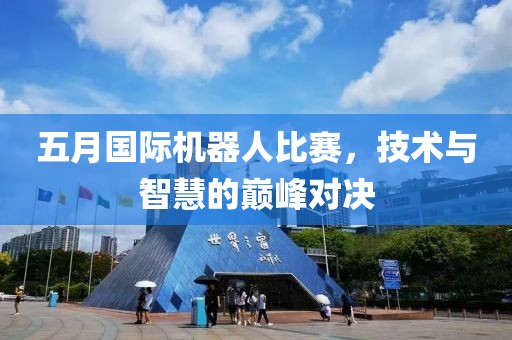 五月国际机器人比赛，技术与智慧的巅峰对决