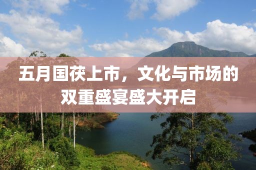 五月国茯上市，文化与市场的双重盛宴盛大开启