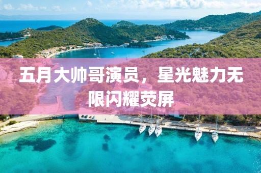五月大帅哥演员，星光魅力无限闪耀荧屏