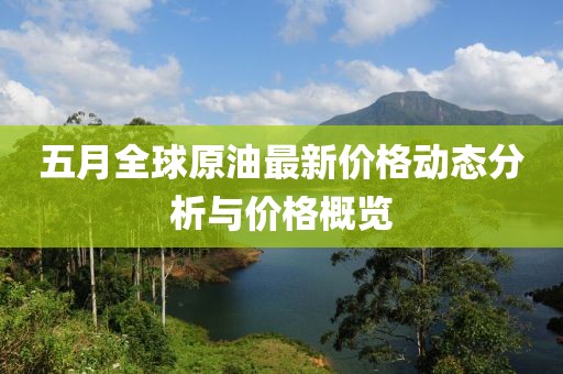 五月全球原油最新价格动态分析与价格概览