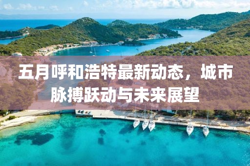 五月呼和浩特最新动态，城市脉搏跃动与未来展望