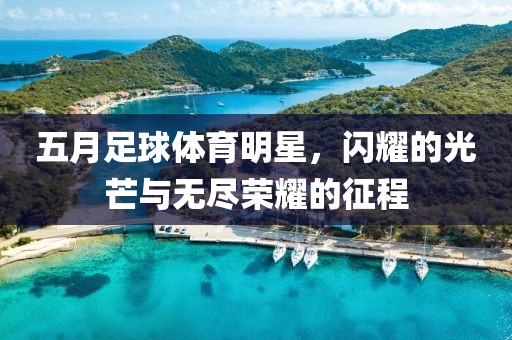 五月足球体育明星，闪耀的光芒与无尽荣耀的征程