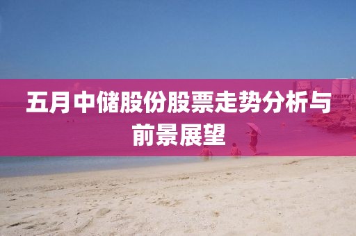 五月中储股份股票走势分析与前景展望