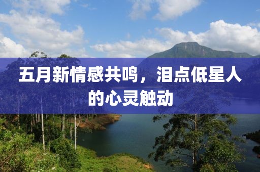 五月新情感共鸣，泪点低星人的心灵触动