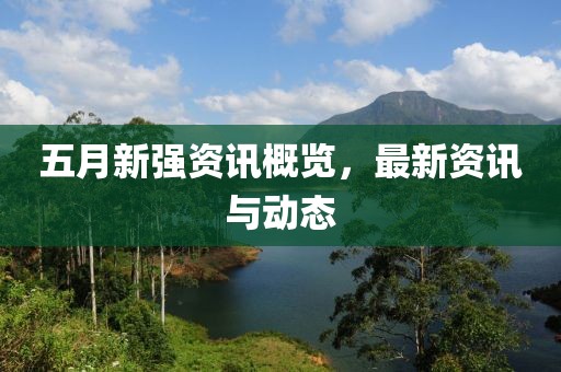 五月新强资讯概览，最新资讯与动态