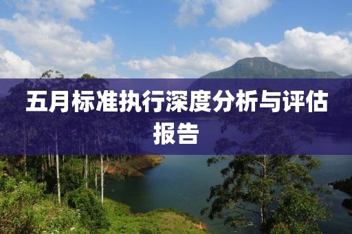 五月标准执行深度分析与评估报告
