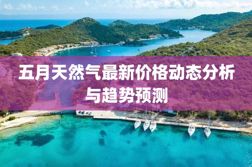 五月天然气最新价格动态分析与趋势预测