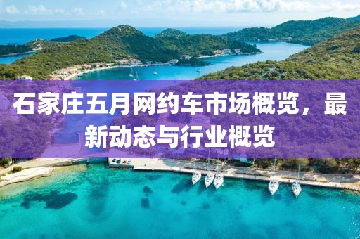 石家庄五月网约车市场概览，最新动态与行业概览