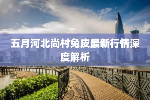 五月河北尚村兔皮最新行情深度解析