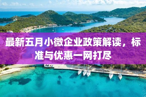 最新五月小微企业政策解读，标准与优惠一网打尽