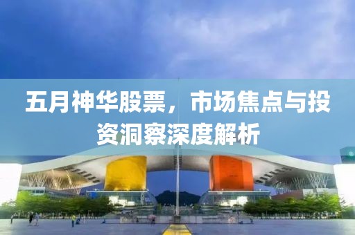五月神华股票，市场焦点与投资洞察深度解析