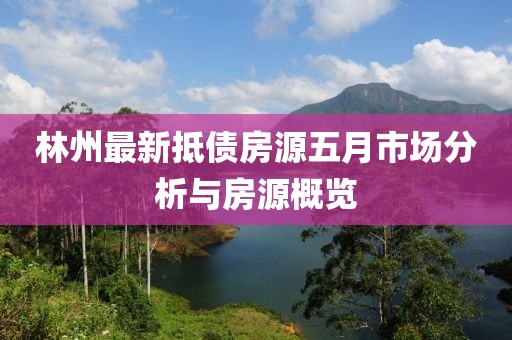 林州最新抵债房源五月市场分析与房源概览