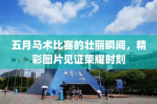 五月马术比赛的壮丽瞬间，精彩图片见证荣耀时刻