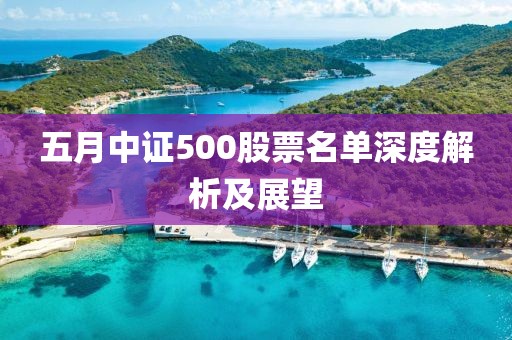 五月中证500股票名单深度解析及展望