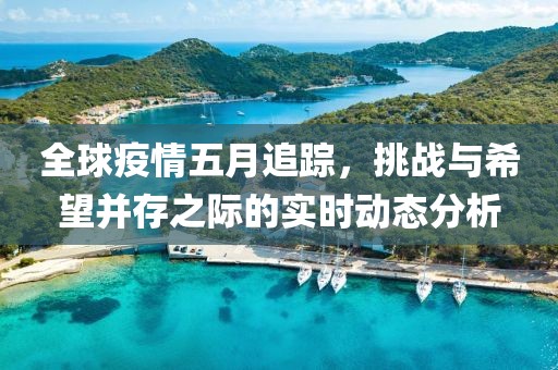 全球疫情五月追踪，挑战与希望并存之际的实时动态分析