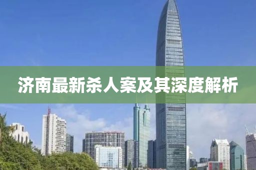 济南最新杀人案及其深度解析