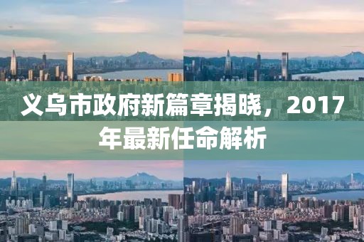 义乌市政府新篇章揭晓，2017年最新任命解析