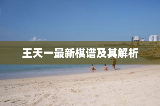 王天一最新棋谱及其解析